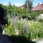 Pensión Molnár Balatonboglár