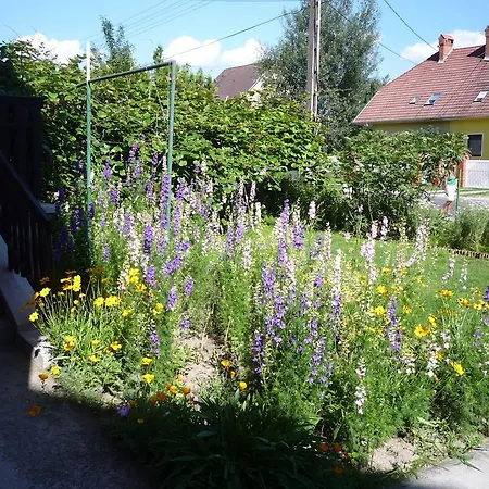 Pensionat Molnar Vendeghaz Balatonboglár